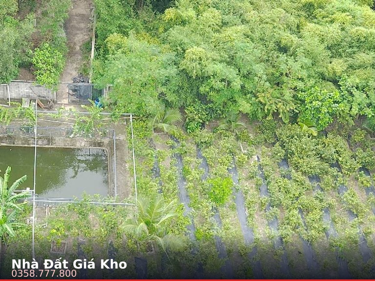 Nhà đất — DT8, Phú Hòa Đông, Củ Chi — 4566.3m² · ngang 22m · 1 tầng — 46 tỷ