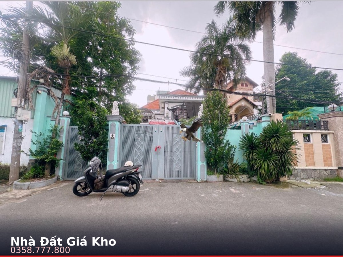 Nhà đất — Luỹ Bán Bích, Tân Phú — 305m² · ngang 10.1m · 2 tầng — 29 tỷ