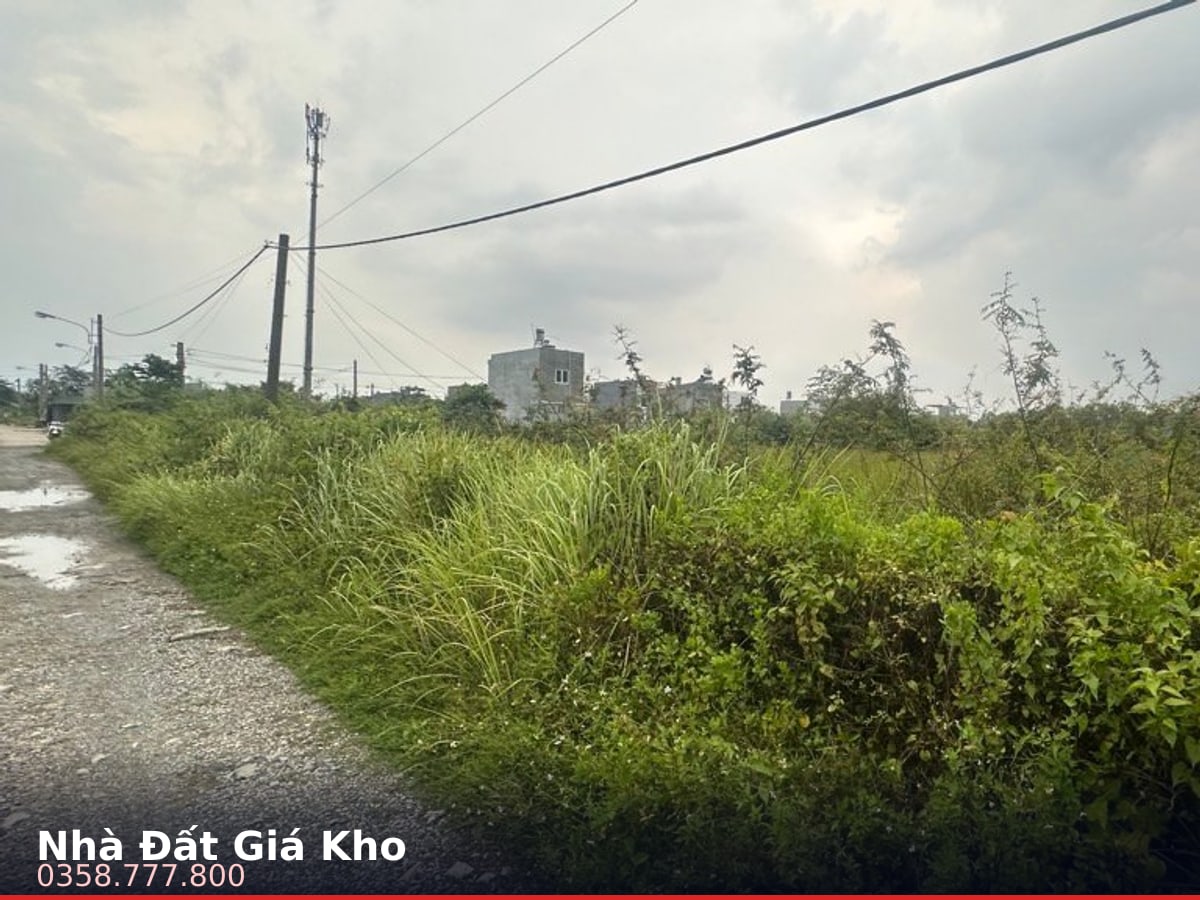 Nhà hẻm — Đường Số 8, Long Phước, Quận 9 — 2488m² · ngang 55m · 1 tầng — 64,6 tỷ