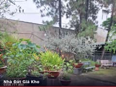 Nhà hẻm — Võ Văn Vân, Tân Vĩnh Lộc, Bình Chánh — 2680m² · ngang 31.5m · 2 tầng — 58 tỷ