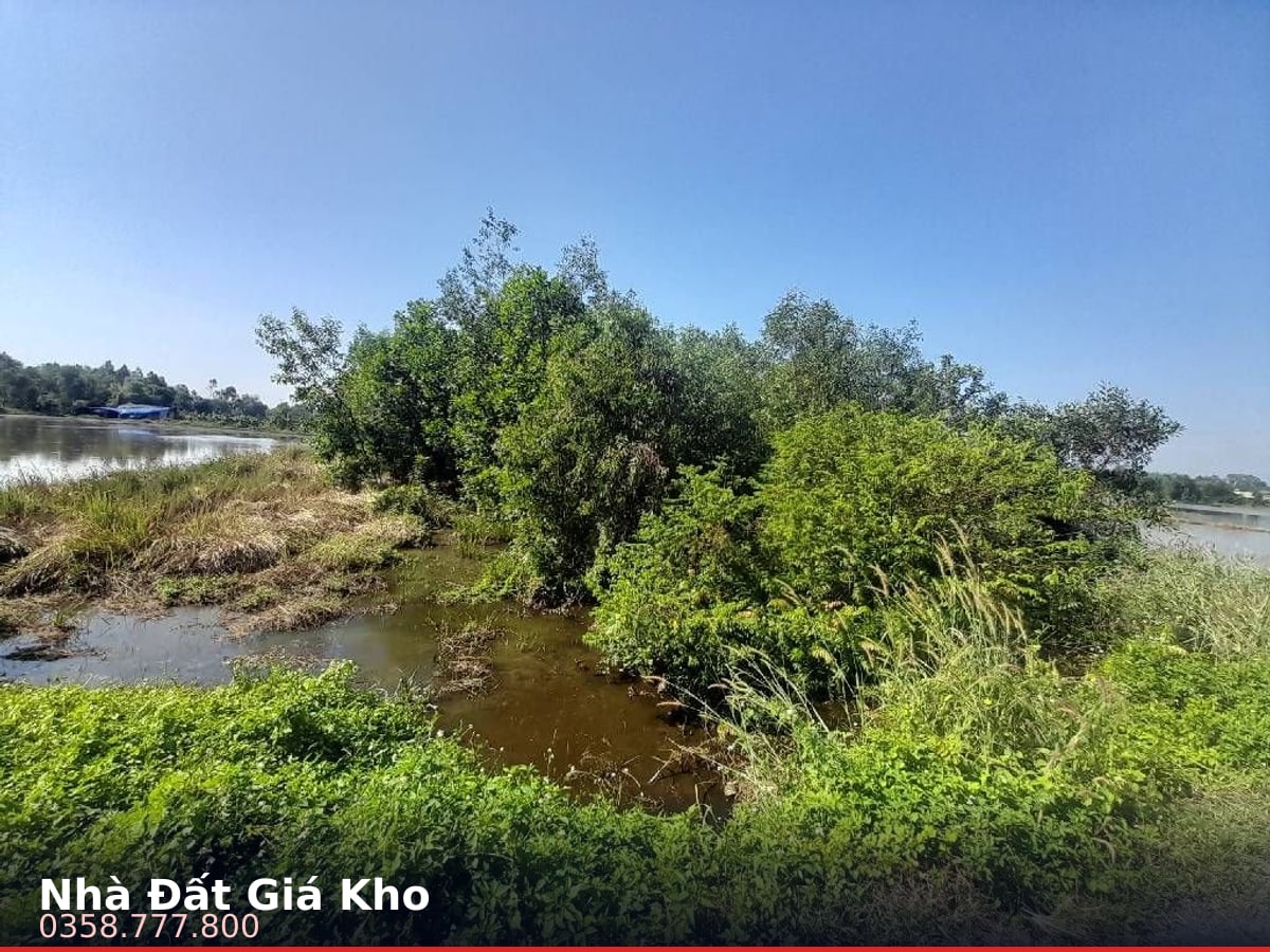 Nhà hẻm — Xuân Thới Sơn, Xuân Thới Sơn, Hóc Môn — 11208m² · ngang 65m · 1 tầng — 78,45 tỷ
