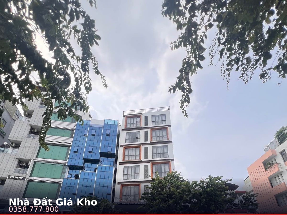 Nhà mặt tiền — Bạch Đằng, Tân Sơn Hòa, Bình Tân — 61m² · ngang 8m · 3 tầng — 26 tỷ