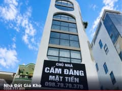 Nhà mặt tiền — Huỳnh Mẫn Đạt, Thạnh Mỹ Tây, Bình Thạnh — 247.3m² · ngang 7m · 9 tầng — 90 tỷ