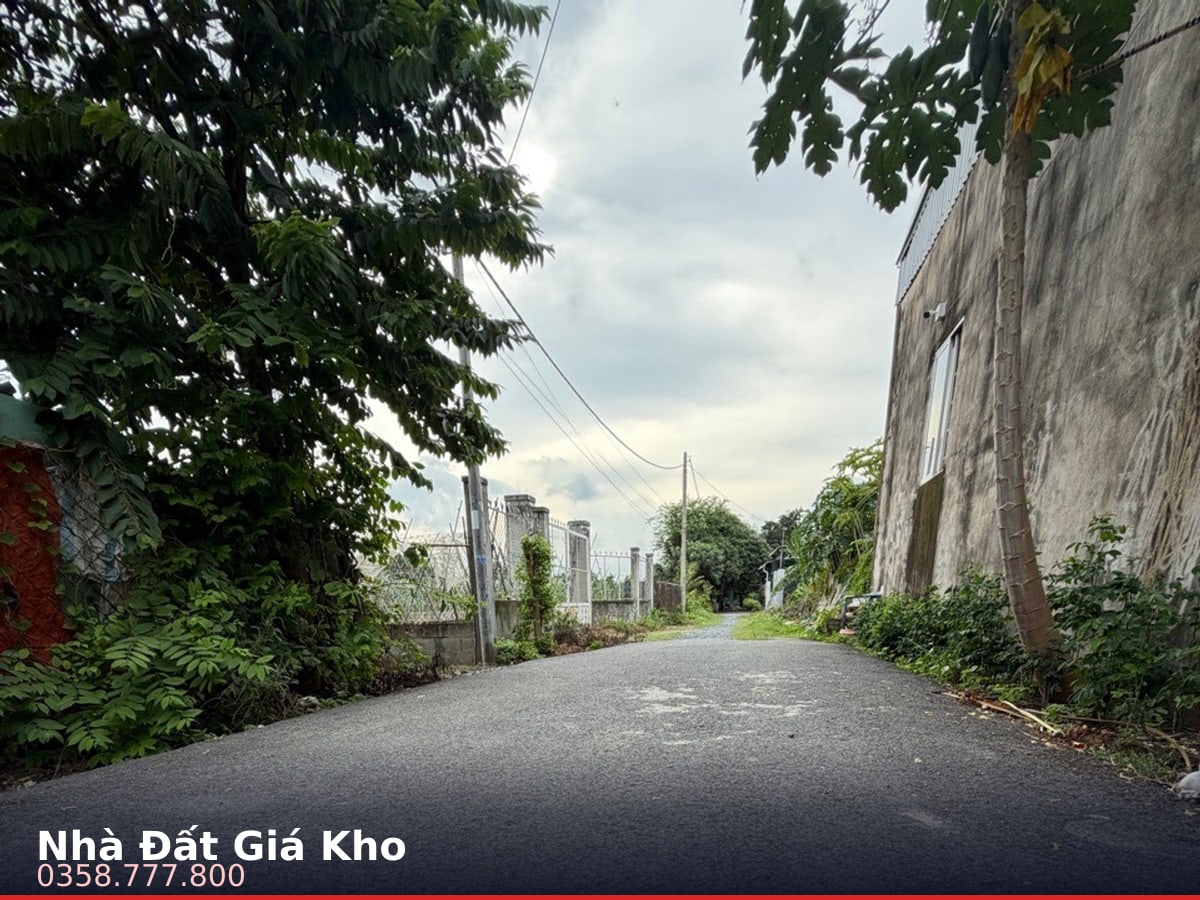 Nhà mặt tiền — Huỳnh Minh Mương, Bình Mỹ, Củ Chi — 1356m² · ngang 35m · 1 tầng — 29 tỷ