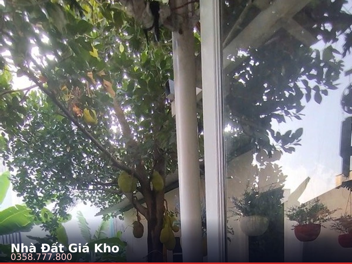 Nhà mặt tiền — Lương Văn Can, Phú Định, Quận 8 — 562m² · ngang 5m · 2 tầng — 55 tỷ