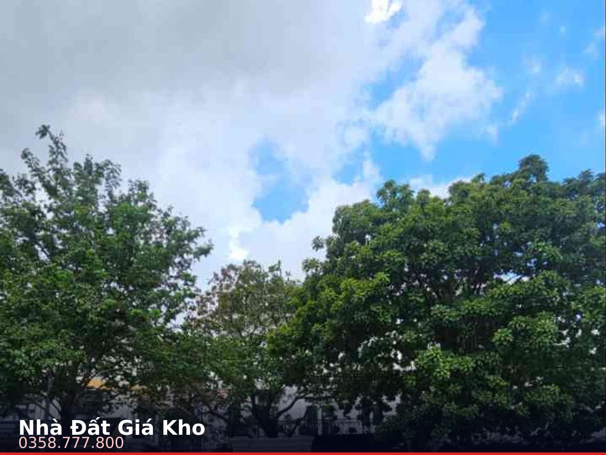 Nhà mặt tiền — Nguyễn Địa Lô, Cát Lái, Quận 2 — 275m² · ngang 11m · 3 tầng — 88 tỷ