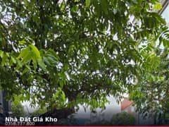 Nhà mặt tiền — Nguyễn Đình Chiểu, Bàn Cờ, Quận 3 — 97m² · ngang 4m · 7 tầng — 55 tỷ