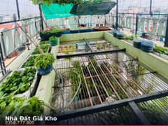 Nhà mặt tiền — Tân Kỳ Tân Quý, Bình Hưng Hòa, Bình Tân — 72m² · ngang 4.1m · 4 tầng — 25,8 tỷ