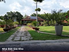 Nhà mặt tiền — Tờ 01 (75 Phạm Thị Tánh), Hưng Long, Bình Chánh — 9355m² · ngang 100m · 1 tầng — 80 tỷ