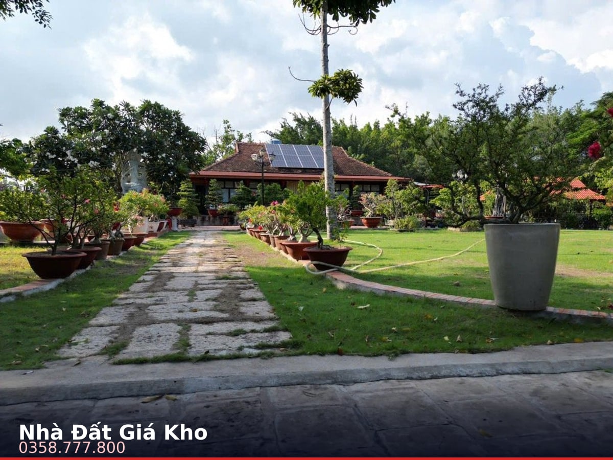 Nhà mặt tiền — Tờ 01 (75 Phạm Thị Tánh), Hưng Long, Bình Chánh — 9355m² · ngang 100m · 1 tầng — 80 tỷ