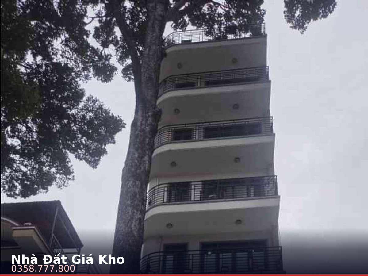 Nhà mặt tiền — Trần Quang Diệu, Nhiêu Lộc, Quận 3 — 50m² · ngang 5.8m · 9 tầng — 32 tỷ