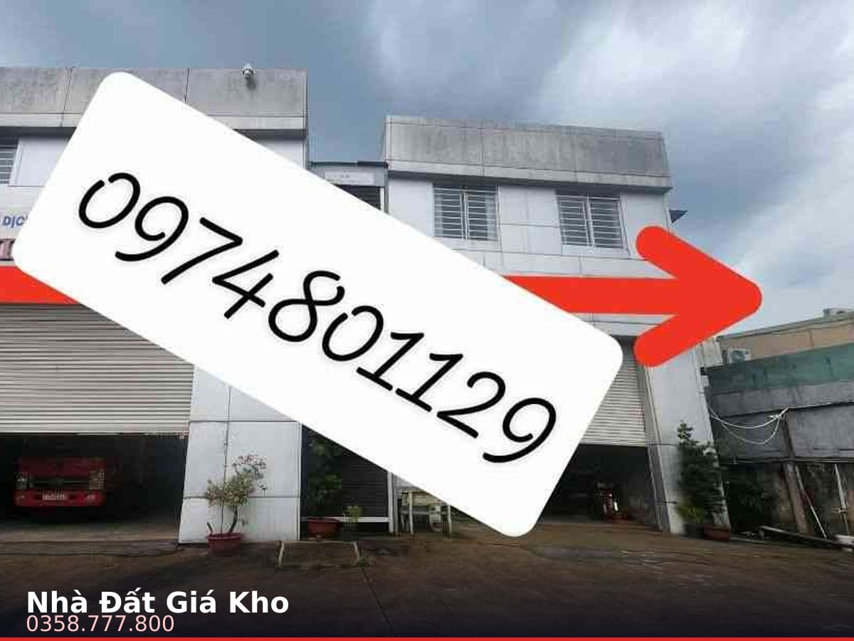 Nhà mặt tiền — Trần Thị Hơn, Đông Thạnh, Hóc Môn — 1879m² · ngang 23.5m · 1 tầng — 61 tỷ